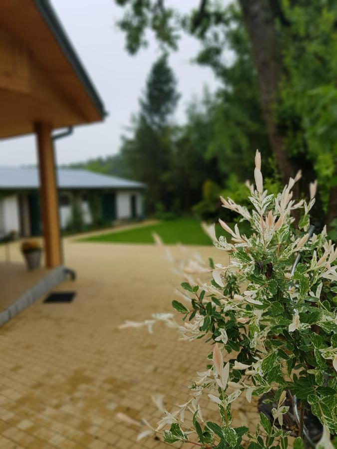 Kosiedlisko Βίλα Kraśnik Εξωτερικό φωτογραφία
