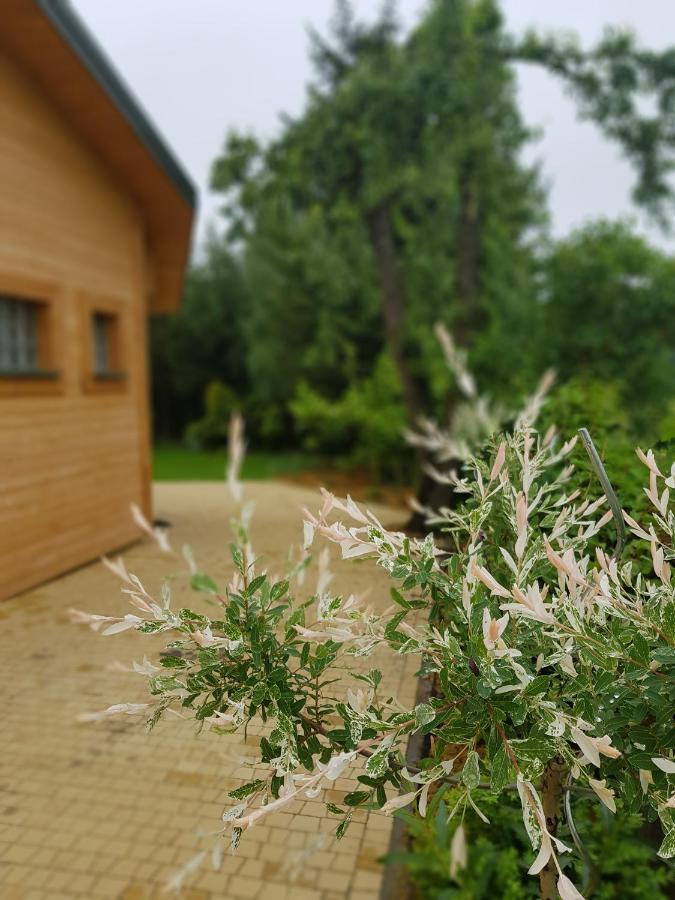 Kosiedlisko Βίλα Kraśnik Εξωτερικό φωτογραφία
